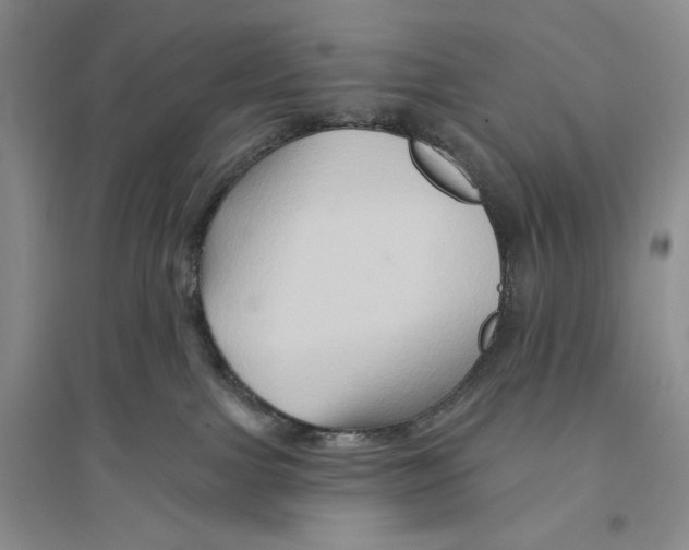 X0000096190091200802151512