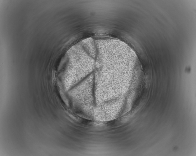 X0000096190093200802151512