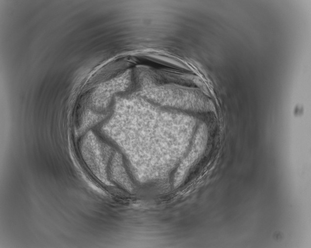 X0000096190097200802151512