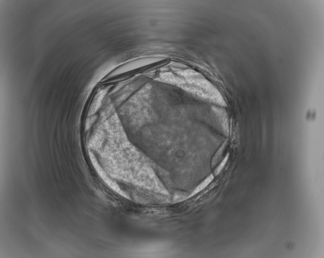 X0000096190099200802151512