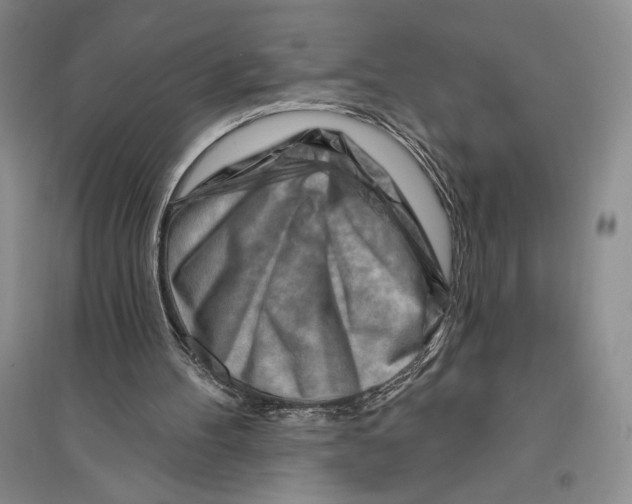 X0000096190100200802151512