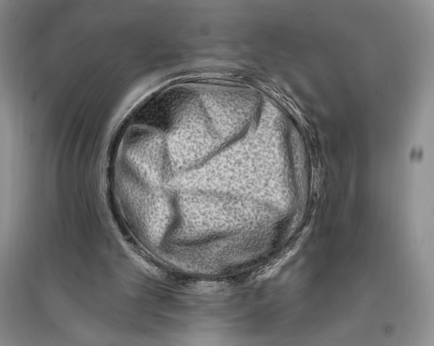 X0000096190101200802151512