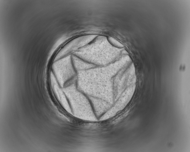 X0000096190102200802151512