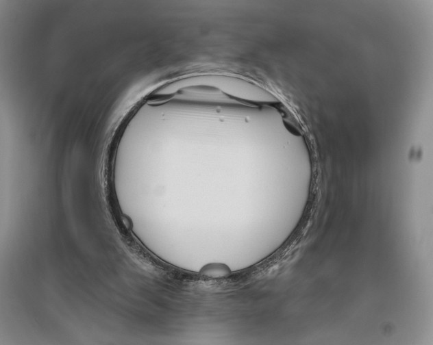 X0000096190103200802151512