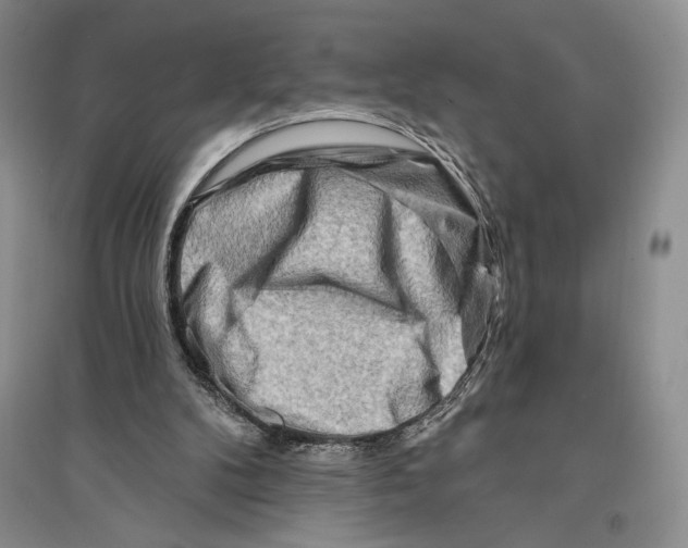 X0000096190104200802151512