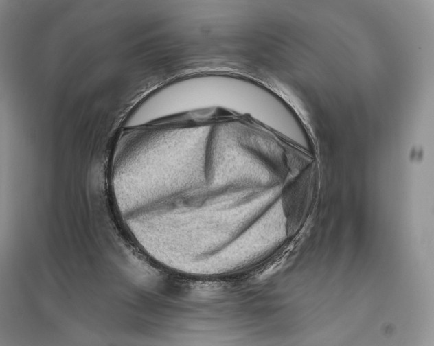 X0000096190105200802151512