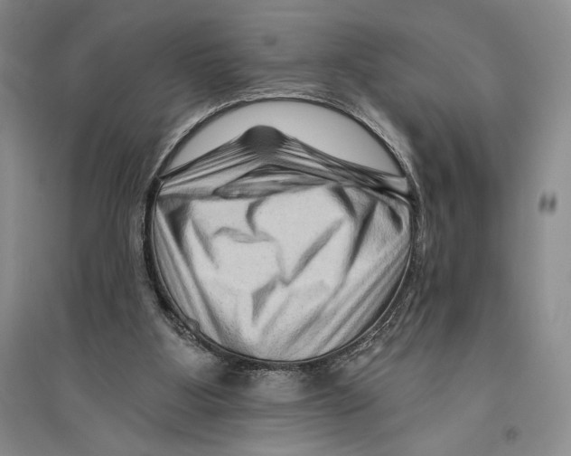 X0000096190107200802151512