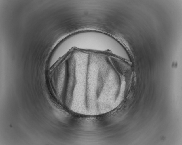 X0000096190108200802151512