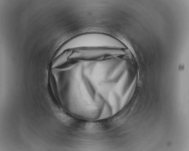 X0000096190109200802151512