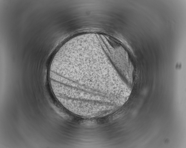 X0000096190110200802151512