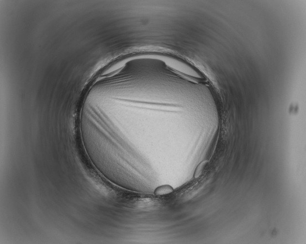 X0000096190111200802151512