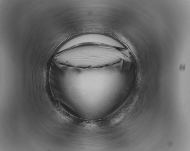 X0000096190113200802151512