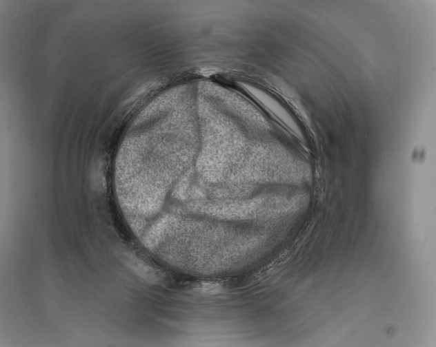 X0000096190114200802151512