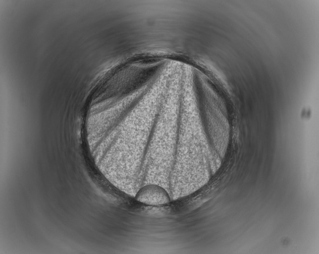 X0000096190115200802151511