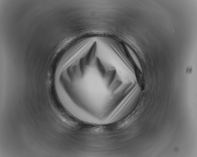 X0000096190116200802151511