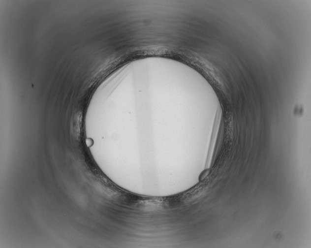 X0000096190118200802151511