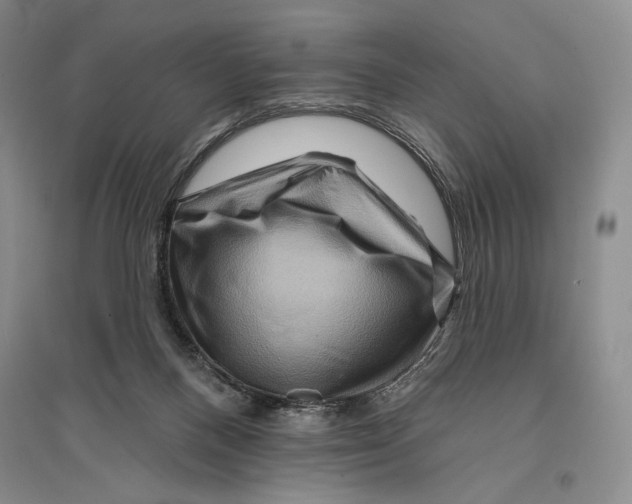 X0000096190120200802151511