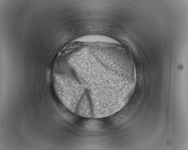 X0000096190123200802151511