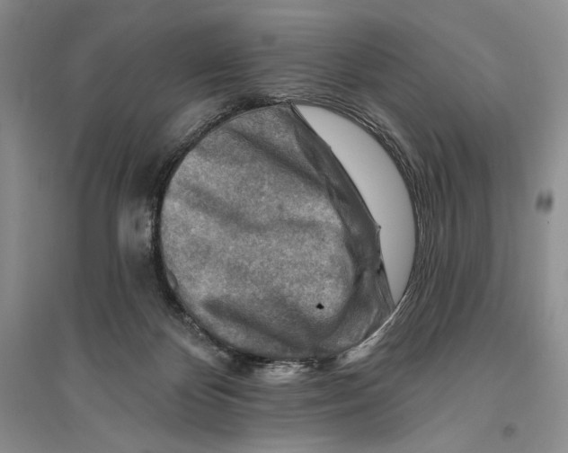 X0000096190124200802151511