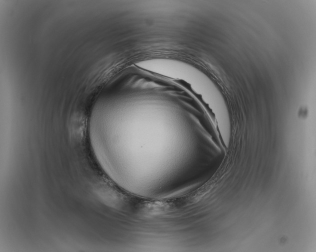 X0000096190125200802151511