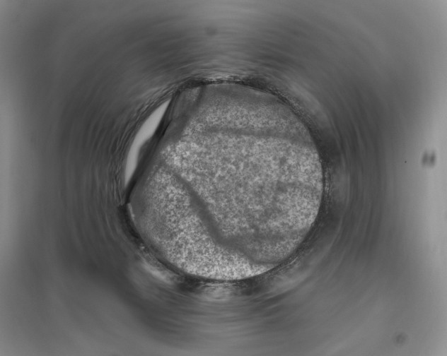 X0000096190127200802151511