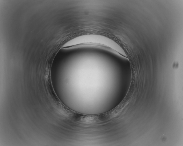 X0000096190129200802151511