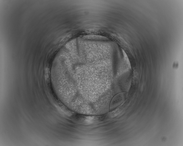 X0000096190130200802151511