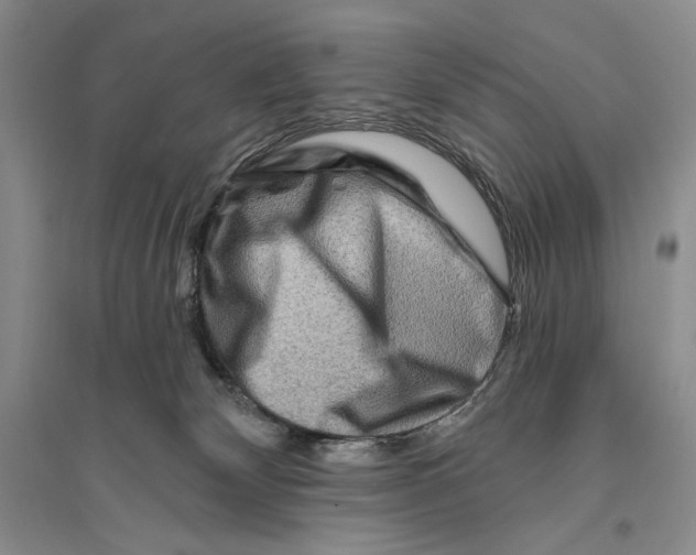 X0000096190132200802151511