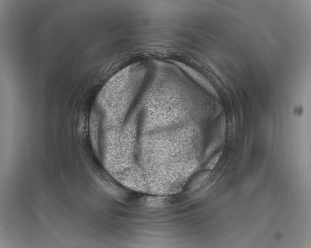 X0000096190134200802151511