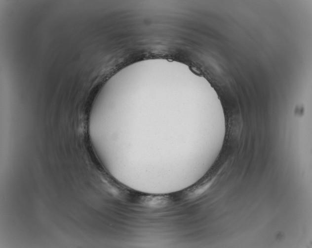 X0000096190135200802151511