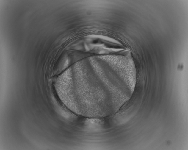 X0000096190137200802151511