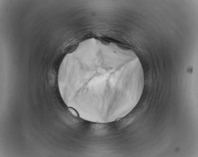 X0000096190139200802151511