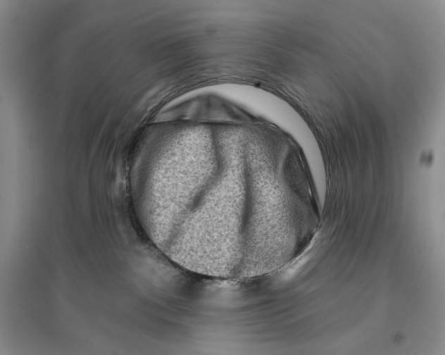 X0000096190140200802151511