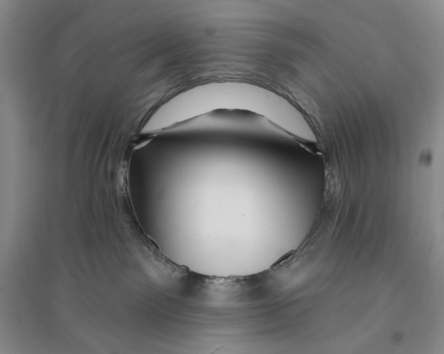 X0000096190141200802151511