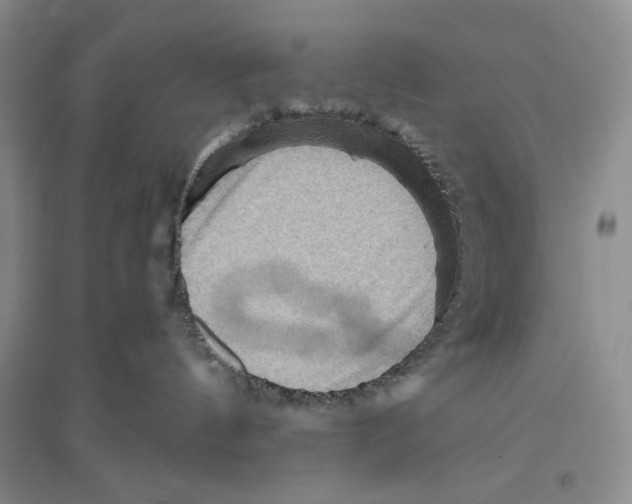 X0000096190144200802151511