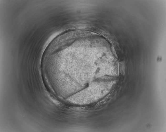 X0000096190147200802151510