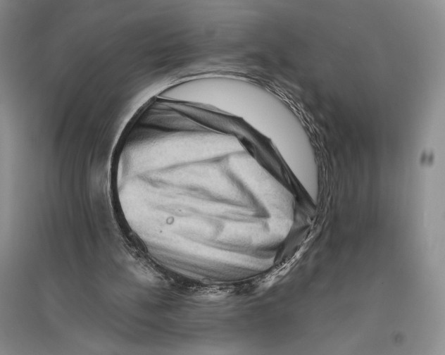 X0000096190148200802151510