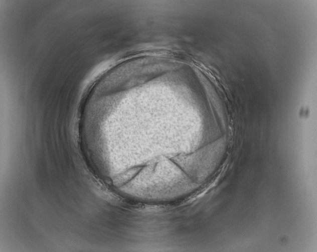 X0000096190149200802151510