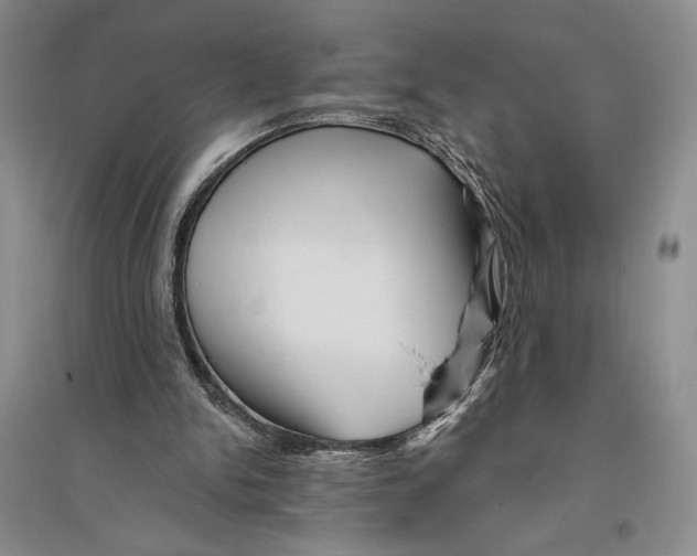 X0000096190150200802151510