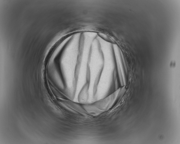 X0000096190152200802151511