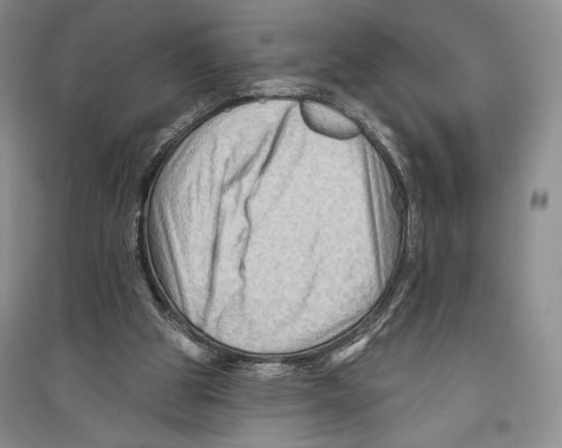 X0000096190153200802151511