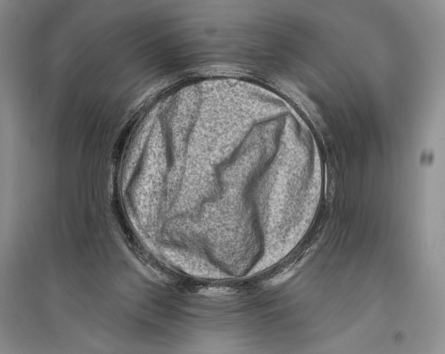 X0000096190157200802151511