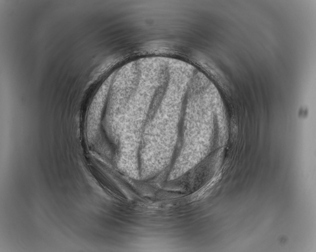 X0000096190158200802151511