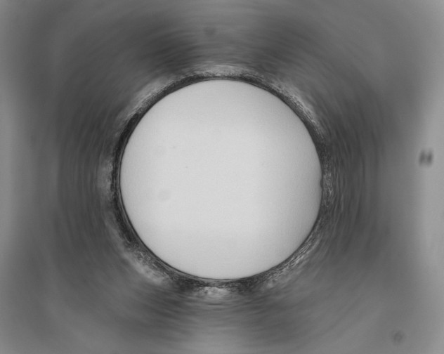 X0000096190159200802151511