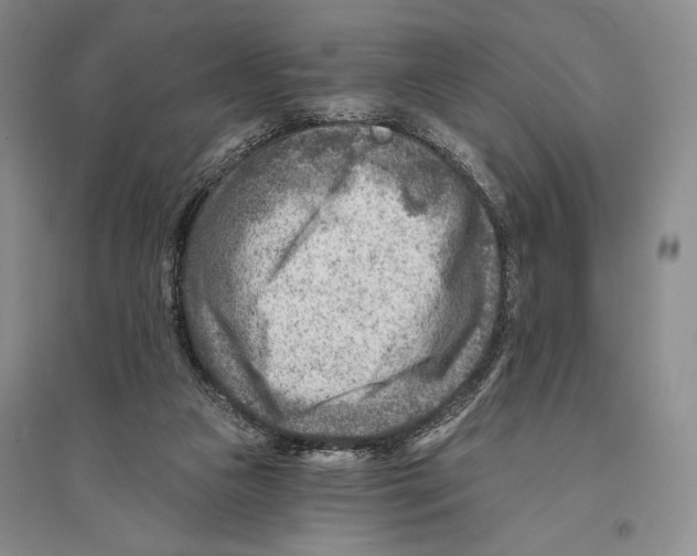 X0000096190161200802151511