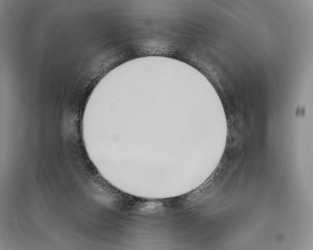 X0000096190162200802151511