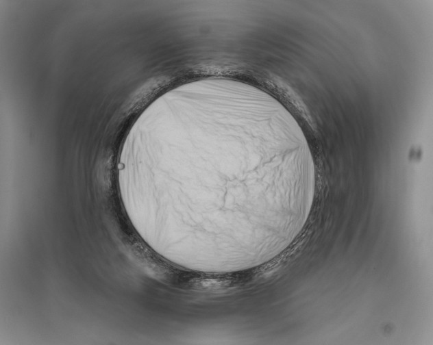 X0000096190163200802151511