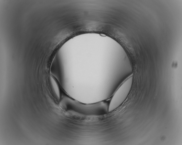 X0000096190164200802151511