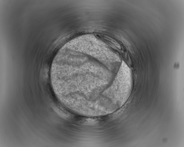 X0000096190166200802151511