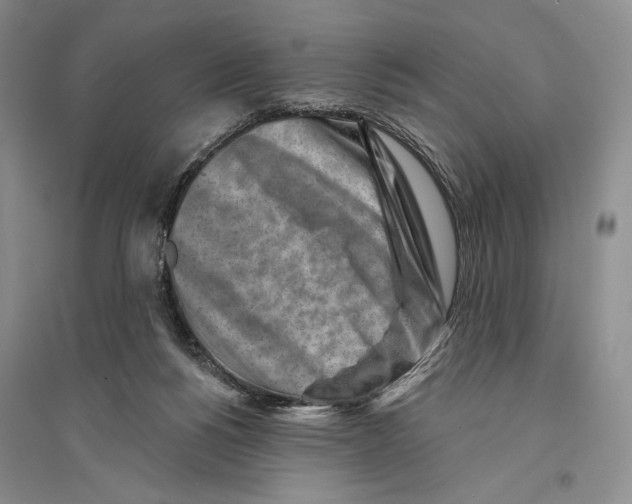 X0000096190168200802151511